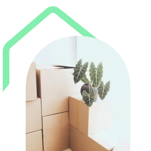 Inventory for Tenants: Stacked Boxes & Plant